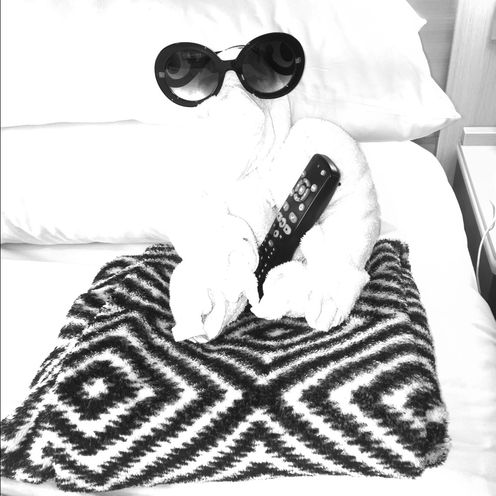 Meet your Posher, Mickey